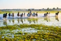 The onrushing coursers in the water Royalty Free Stock Photo