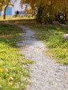 Onset of autumn. gravel path in autumn park. fallen yellow leaves on grass. silhouette of stranger sitting on bench Royalty Free Stock Photo