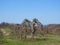 Lake Ontario upstate NewYork ancient Apple Orchards in April Royalty Free Stock Photo