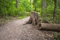 Ontario's Scenic Bruce Trail