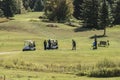 ONTARIO wilno canada 09.09.2017 golfer golf players playing on green gras on a course outdoor tee shot event Canadian Royalty Free Stock Photo