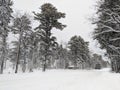 Ontonagon Township Park Snowstorm Royalty Free Stock Photo