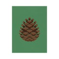 Ontrasting green backdrop emphasizes the pine cone making it the central Royalty Free Stock Photo