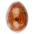 Onyx egg Royalty Free Stock Photo