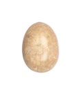 Onyx stone egg isolated on white Royalty Free Stock Photo