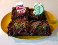 Ooey gooey decadent chocolate candy sprinkled brownies topped with wax birthday candles