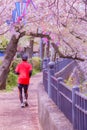 Ookigawa Promenade Spring Royalty Free Stock Photo