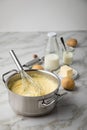 Ooking pot with mashed potatoes and ingredients as potato, milk, salt, butter, nutmeg with whisker and grinder on light marble