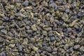 Oolong tea green tea leaves background and texture, macro shot Royalty Free Stock Photo