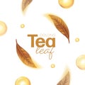 Oolong tea, Realistic green tea leaves background for advertising poster. Vector illustration