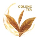 Oolong tea, Realistic green tea leaves background for advertising poster. Vector illustration