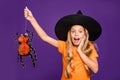 Oops. What have I done. Photo of small witch lady hold big hanging spider made it alive by accident wear wizard cap Royalty Free Stock Photo