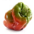 Oorganic food. Odd shaped ugly homegrown bell pepper isolated on