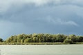 Oostvaardersplassen Flevopolder, Nederland / Netherlands