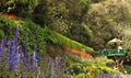 Ooty botanical garden landscape