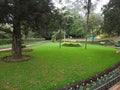 Ooty, Coonoor, Wayanad, Mudumalai National Park, Tiger reserve, Pykara waterfall, SIMs Park, Botanical Garden, Glen Tea Estate Royalty Free Stock Photo