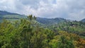 Ooty, Coonoor, Wayanad, Mudumalai National Park, Tiger reserve, Pykara waterfall, SIMs Park, Botanical Garden, Glen Tea Estate Royalty Free Stock Photo