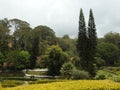 Ooty, Coonoor, Wayanad, Mudumalai National Park, Tiger reserve, Pykara waterfall, SIMs Park, Botanical Garden, Glen Tea Estate Royalty Free Stock Photo