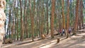 Tourists enjoying the amazing pine forest of Ooty, Tamilnadu, India. Favourite honeymoon destination in South India
