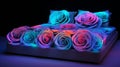 Op Art Bed Of Roses: Glowing Flowers In A Dark Room