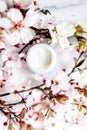 op view of cosmetic cream with pink cherry flowers in a blue glass jar. Hygienic skincare lotion product.Idioma de palabras Royalty Free Stock Photo