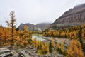 Opabin Plateau trail and Lake O`Hara Royalty Free Stock Photo