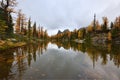 Opabin Plateau trail and Lake O`Hara Royalty Free Stock Photo