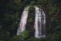 Opaeka`a Falls tropical waterfall on the island of Kauai, Hawaii Royalty Free Stock Photo