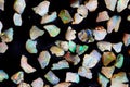 opal mineral collection