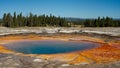 The Opal Pool in Yellowstone National Park Royalty Free Stock Photo