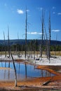 Yellowstone National Park, USA