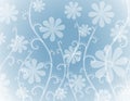 Opaque White Flowers on Blue Background