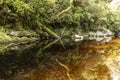 The Oparara River, NZ