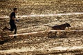 OPATOV, CZECHIA - September 5 2020: Hard Dog Race, difficult obstacle race for the public in tandem with the dog