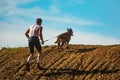 OPATOV, CZECHIA - September 5 2020: Hard Dog Race, difficult obstacle race for the public in tandem with the dog