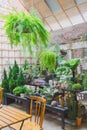 Cafeteria Interior with modern design and furniture decorated with plenty of green plants and wood materials in Vietnam, November