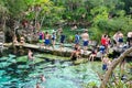 Open air cenote at the Yucatan jungle in Mexico