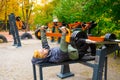 Open air gym at the autumn park. Man doing bench press using outdoor training machine. Street training Royalty Free Stock Photo