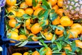 Open air market in Italy, different fruit. Madeira's fruits, pineapple lemon orange Royalty Free Stock Photo