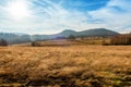 Open air meadow with faded grass in a autumn season with forest and mountains on a horizon Royalty Free Stock Photo