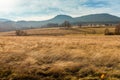 Open air meadow with faded grass in a autumn season with forest and mountains on a horizon Royalty Free Stock Photo