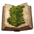 Open ancient book covered with green moss sprouting new life Royalty Free Stock Photo