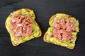 Open avocado sandwiches with tuna against dark slate