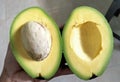 Open avocado with the seed