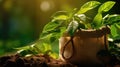 Open bag with coffee beans a green leaves Royalty Free Stock Photo