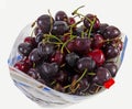 Open bag filled with fresh Bing Cherries Royalty Free Stock Photo