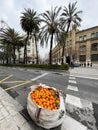 Open bag of fresh oranges or citrus fruit in a city street of Valencia, Spain