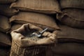Open bag full of raw coffee beans with metal scoop, in the background of the warehouse Royalty Free Stock Photo