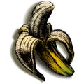 The open banana on a blank background with shadow