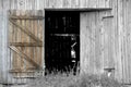 Open Barn Door Royalty Free Stock Photo